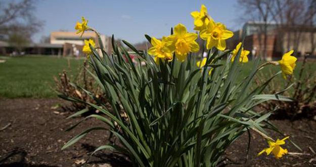 Spring on campus